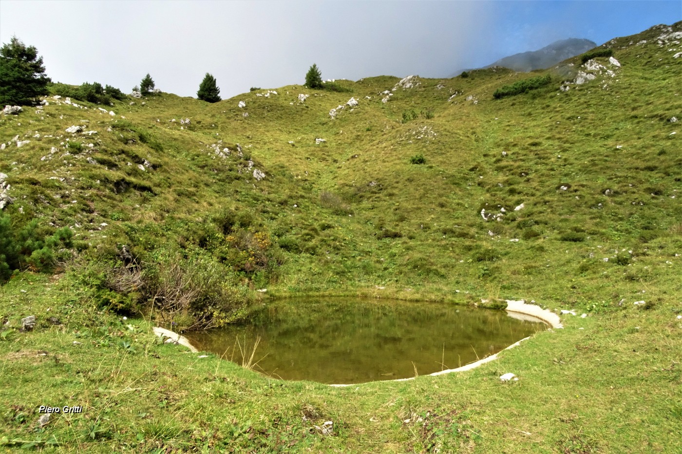 62 Lasciato il sent. 102, risalgo a vista verso la vetta del Venturosa, passando da questa pozza d'abbeverata.JPG